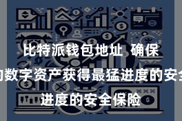 比特派钱包地址  确保用户的数字资产获得最猛进度的安全保险
