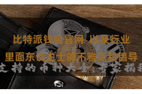 比特派钱包官网  以及行业里面东谈主士的不雅点和倡导