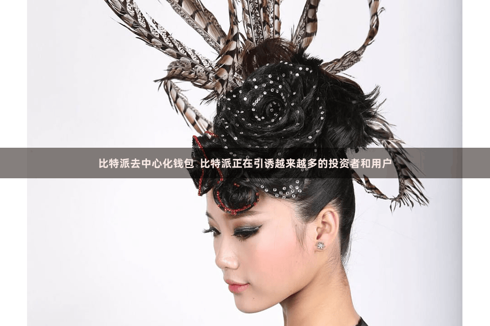 比特派去中心化钱包  比特派正在引诱越来越多的投资者和用户