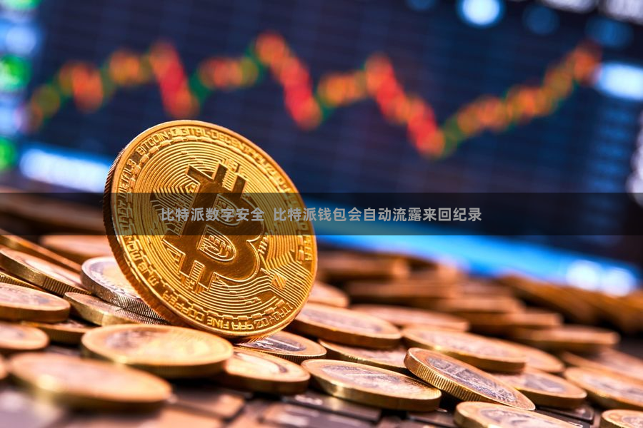 比特派数字安全  比特派钱包会自动流露来回纪录