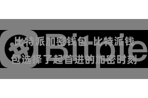 比特派加密钱包  比特派钱包选择了起首进的加密时刻