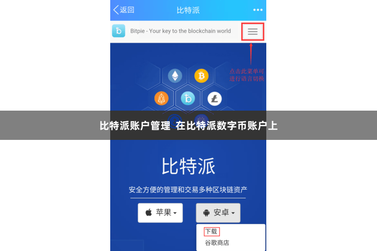 比特派账户管理  在比特派数字币账户上